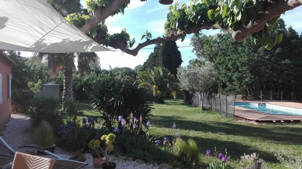 Gite Mas Uranie Le Soler Luaran gambar